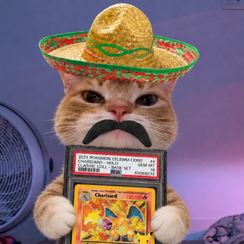 futurez's tweet photo. Made an entire website for this narrative and going to push ts.

Pumpfun is pushing cards in their app. Every update push needs a mascot.

Meet Card. Cat + Card.

https://t.co/Dzrl3AJpl1

https://t.co/33GaIHECnw https://t.co/VSjJHstLvU