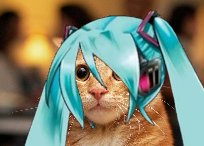 DIVA_CV01's tweet photo. Triple Hi https://t.co/FJrloJELgc