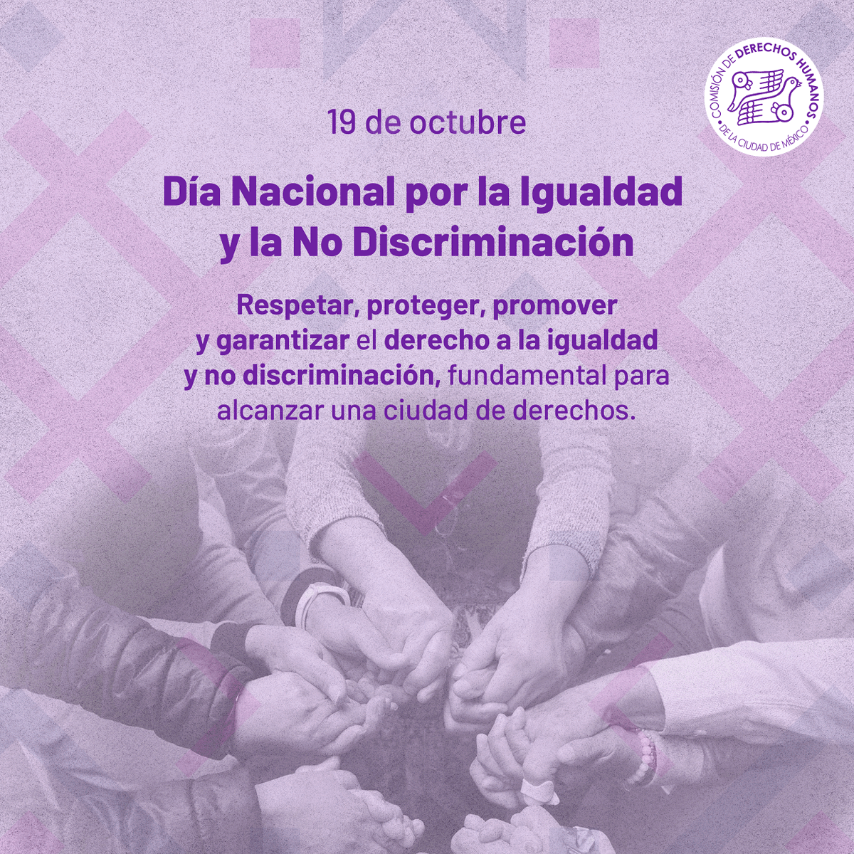 CDHCMX's tweet photo. En el Día Nacional por la #Igualdad y la #NoDiscriminación, la #CDHCM subraya la importancia de erradicar las prácticas discriminatorias que vulneran la dignidad humana y limitan el ejercicio de derechos, así como de garantizar la igualdad de trato y oportunidades. https://t.co/rr55SJEl1f
