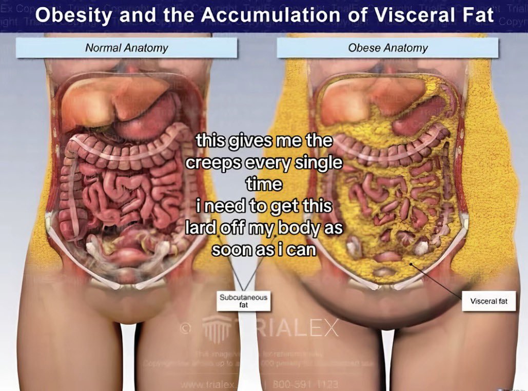 stainedskittls's tweet photo. every now and then i think about this image. its worked better for ne than thinspo EVER has https://t.co/xeq8OlIwXs