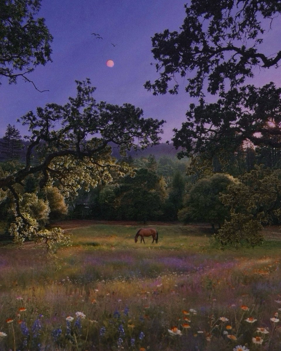 purelivn's tweet photo. under the same moon https://t.co/DL1CRYCK6R