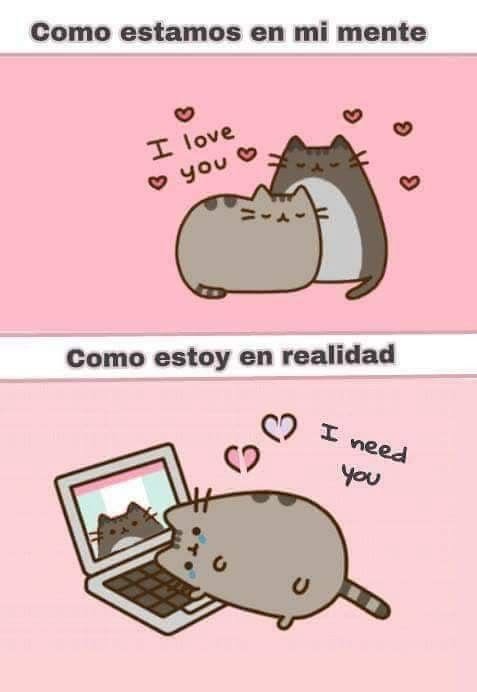 marifuyu_'s tweet photo. chifuyu t amo pk no eres real :"c https://t.co/ip3MoErpd5