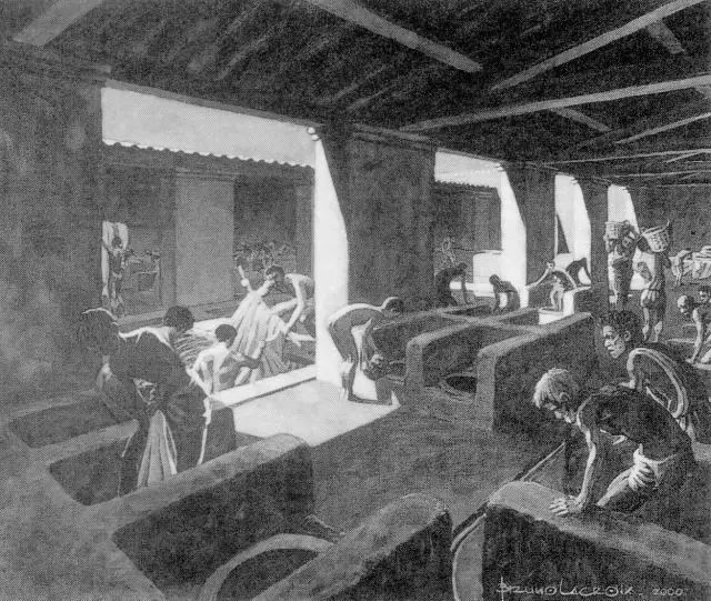 AncientHistorry's tweet photo. Ancient Rome ran on pee. Not as a joke. As an industry.

Roman laundries, called fulleries, cleaned clothes with stale urine because the ammonia cut through grease and dirt. Workers stood in tubs of it and stomped the laundry clean with their feet. Togas, tunics, everything. If you were a wealthy Roman in a bright white toga, there's a good chance it got that white from somebody's pee.

Fullers set out pots on street corners so people walking by could fill them up. Then they collected the pots and hauled them back to the shop.

Tanners used it too, for softening leather. Some people even used it on their teeth. The poet Catullus wrote a whole poem mocking a guy named Egnatius who grinned constantly to show off his bright white teeth, pointing out that everyone knew how people from his part of Spain whitened them.

Then the emperor Vespasian looked at all this and realized something. People were making money off pee. So he taxed it.

His son Titus thought this was disgusting and beneath an emperor. So Vespasian held up a coin from the first payment, put it under Titus's nose, and asked if it smelled bad. Titus said no. Vespasian told him it came from urine.

That moment gave us the Latin saying "pecunia non olet." Money doesn't stink.

It stuck so hard that 2,000 years later public urinals in France are still called vespasiennes, and in Italy they're vespasiani. The man conquered Judea, built the Colosseum, and ended a civil war, and Europe named its toilets after him.

He kept the jokes going to the end, too. Roman emperors were usually declared gods after they died. When Vespasian got sick and knew he was dying, he reportedly said, "Oh dear, I think I'm becoming a god."