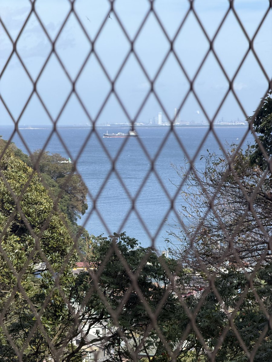WAig0UEaWIql5MM's tweet photo. 昨日の観音崎。月曜日から駐車場混雑、お山の上では草原に秋空が広がって、おそらく今がもっとも気持ちのよい時・・・でもジュースたか！ https://t.co/PgiUhP37Tl