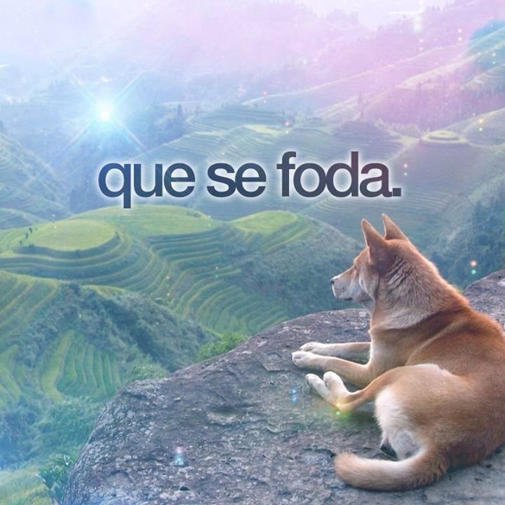 primallicya's tweet photo. sensação de ter a consciência limpa mas tem gente tacando bosta em vc por uma mentira mal contada https://t.co/O5N6JrUmAg