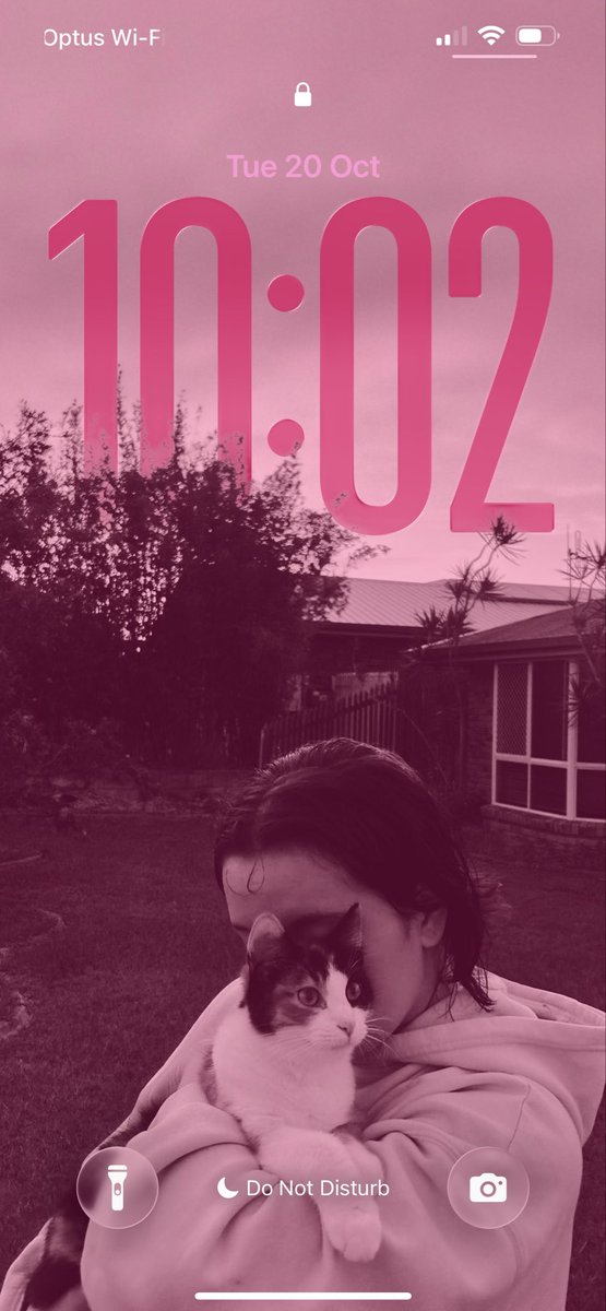 arbxhekaj's tweet photo. if you see this do it! 

profile
lockscreen
last song played 
pinterest https://t.co/pPB3mtBBMM