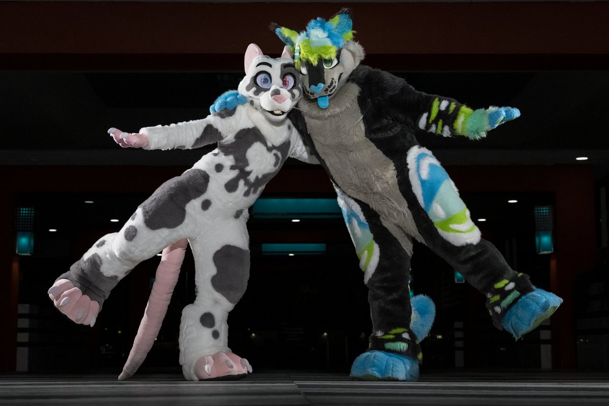 thekitodiet's tweet photo. See!! rats and cats can get along! In fact, I think we're pretty cute together.

🐀: @ZeroRemnants 
🧵: @ThePhoenixNest_ @crown_cryptid 
📸: @dire_walf https://t.co/h8hTbSZndY