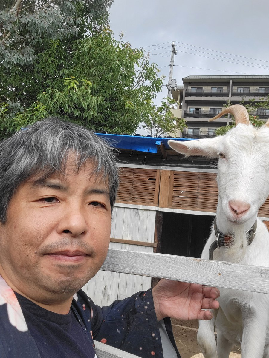 Niku_Q1019's tweet photo. 昨日はたくさんのいいね、コメント、メッセージ、LINE、ありがとうございました。

香川に来てもこんなにたくさんの人が繋がっていてくれる。

ホント、幸せです。 https://t.co/KoVielI2nv