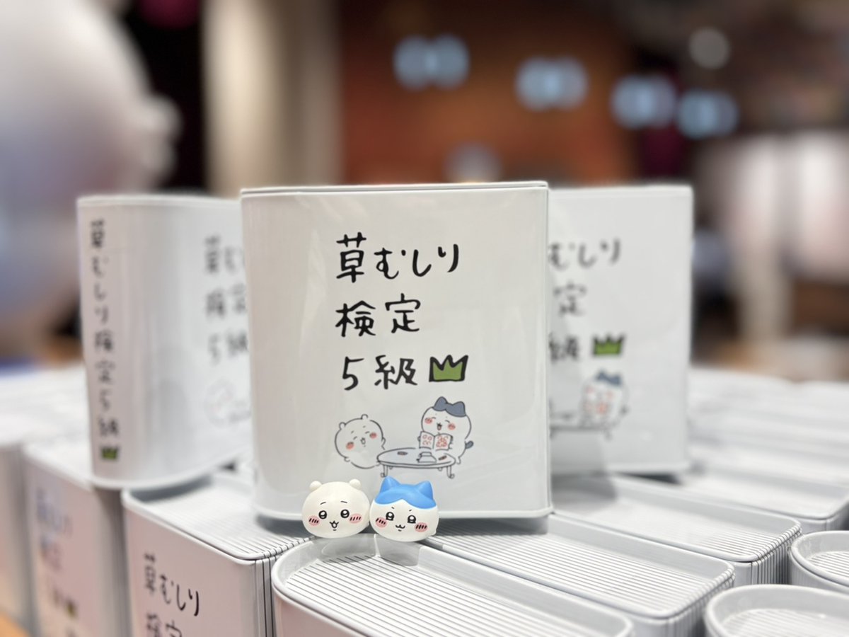 chiikawa_parkjp's tweet photo. ／
#ちいかわパーク
グッズ再入荷のお知らせ🛍
＼

・ちいかわパーク 草むしり検定クッキー缶

上記の商品が再入荷いたしました✨

#ちいかわ #ちいかわパーク #Chiikawapark https://t.co/dgZtGSDICm