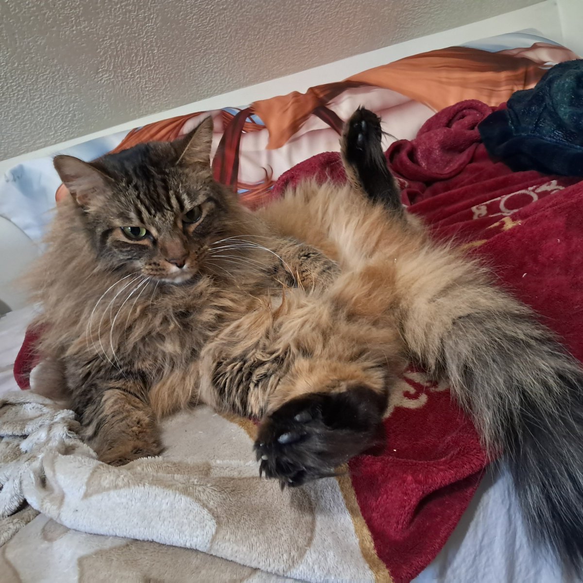 iPostGameClips's tweet photo. He wasn't taking a bath or anything. He's just sitting like this... https://t.co/vmtwDNBV4K
