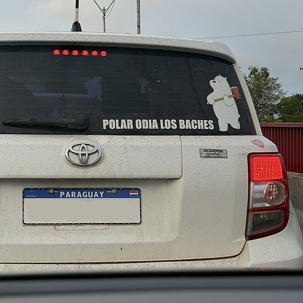 JOSEESCAURIZA's tweet photo. Polar odia los baches https://t.co/UTetTbAtI5