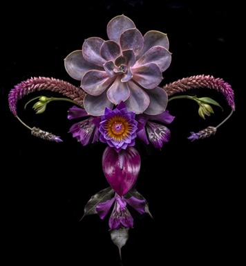 solisolsoli's tweet photo. Uteruses · Catharina Suleiman https://t.co/vO56LUggsU