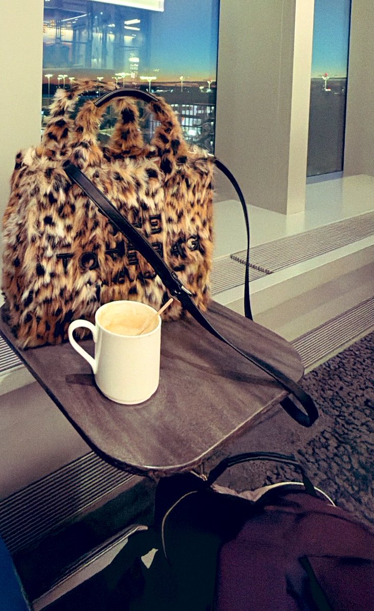 IntrovertLexy's tweet photo. Morning views from New York. https://t.co/Ygbw1xqRig