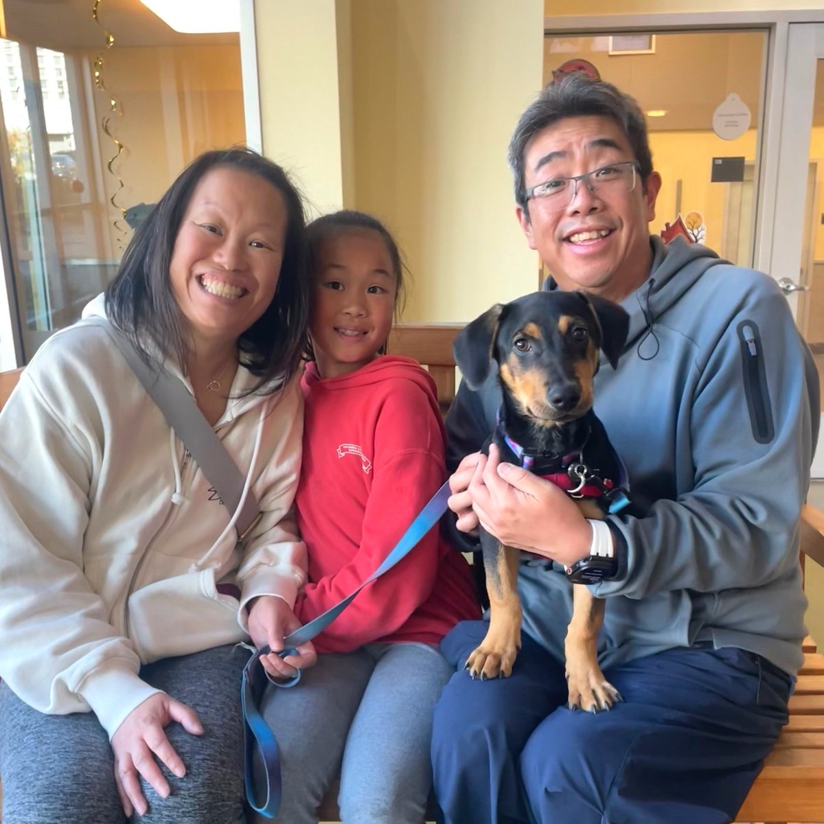 PeninsulaHumane's tweet photo. Cheers to Mustard's next chapter! 🥂 Happy tails to the new family. 

#phsspca #adopted #adoptdontshop https://t.co/QOVIWF9Y8v