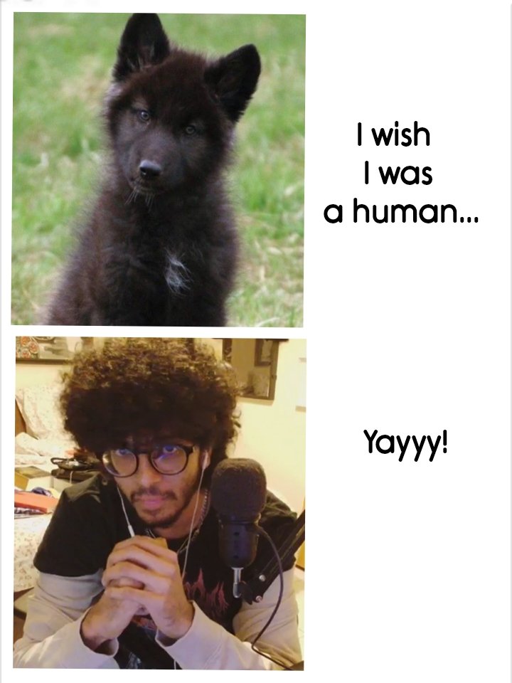 tistic_artist's tweet photo. Awoooo I fucking guess bro https://t.co/7BCs6jAmN9