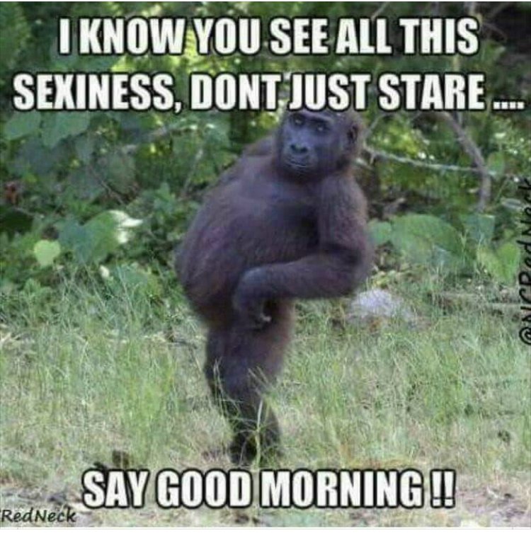 sweetnothingste's tweet photo. @malik_alee66879 https://t.co/TKvSOAdVck