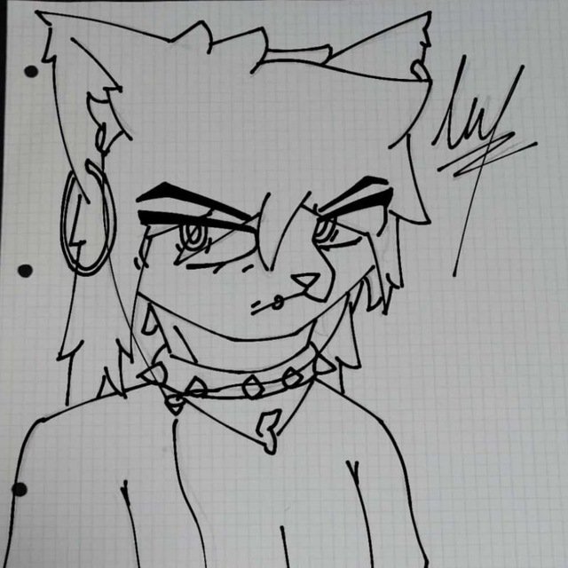 Noaericks's tweet photo. @KaiserWolfVR Me alegra saber que los gatos no salimos en la lista :3c (y ya de paso pues dejo dibjo de mi sona pq no) https://t.co/BCiC5TS3j2
