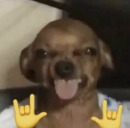 kickespanol's tweet photo. @AdavDeAV @YalizuxD @SpreenDMC @alondrisaa @DavooXeneizeJRR @LoncheDeHuevito @starvtuber2 @WestCOL @lautarodeIcampo @RDjavii @adrianozendejas https://t.co/H6Fhp18lQe