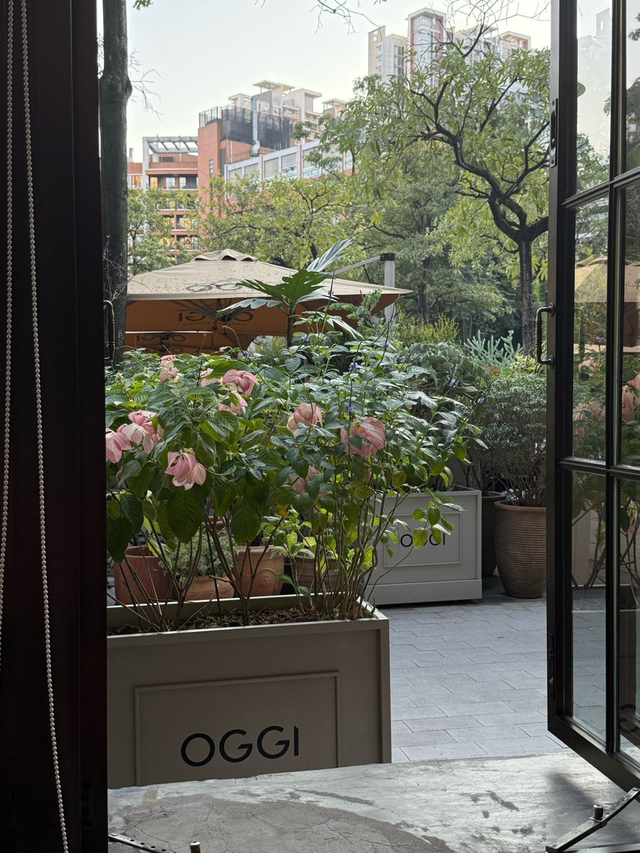 phwombhele's tweet photo. [Source, crumbs, wish—sunlight filters through leaves, a small café corner sparkles quietly, wish you a soft and warm day!]， https://t.co/QI4g7HKGnZ