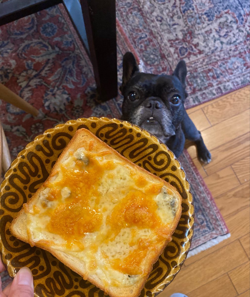 naobj's tweet photo. 最近ハマってるゴルゴンゾーラはちみつトースト🍞🍯🦷 https://t.co/JwuBpF6fk4