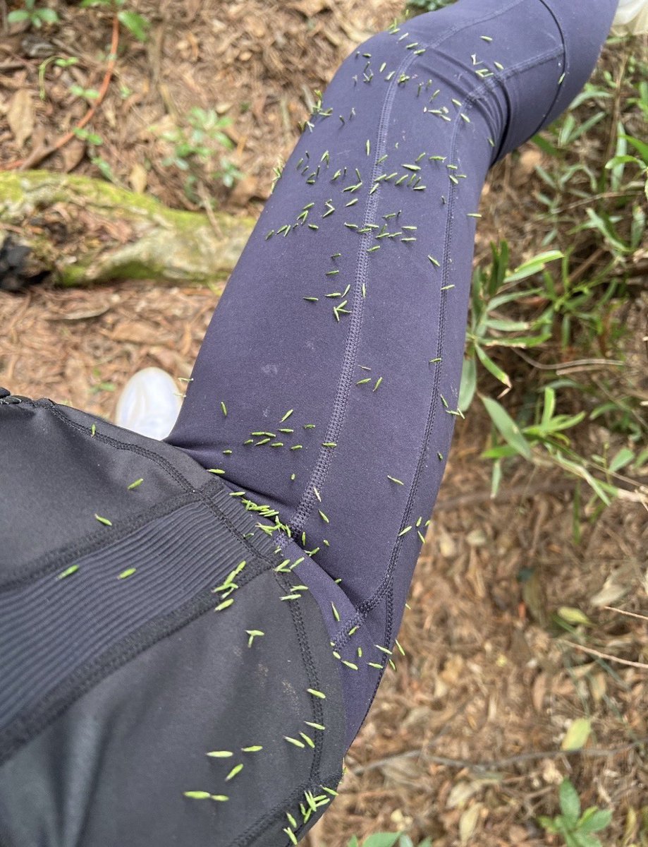Houmaamud's tweet photo. 华问我这个周末能不能一起去爬山。
说我上次朋友圈的照片让他很有感觉。
不知道他说的很有感觉是什么意思，先答应了他。但是说要回家问问他爸的意见，邀请他爸和我们一起去。
华说他爸不爱运动，肯定不会去。 https://t.co/nDaPSOWPCS