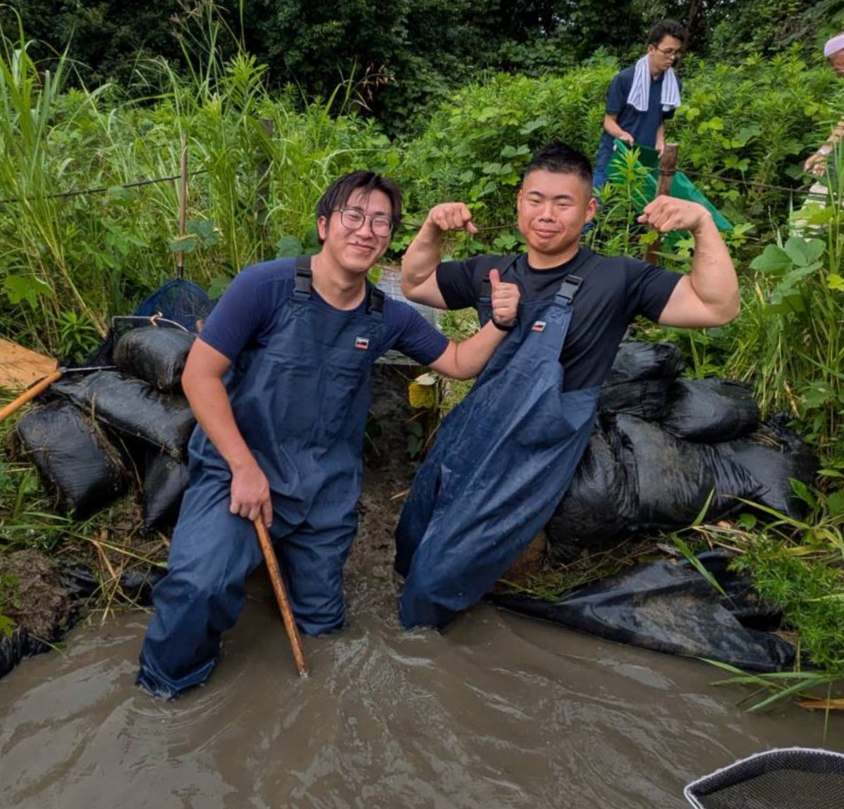 Ten101085's tweet photo. これから湿地と筋肉の時代がくるはず
筋肉で造成した湿地をカヤネズミが利用してくれるようになった。
湿地と筋肉は相性がいいのです。
筋肉を搭載した人間は小さな重機です。
重機が入れないところにも突撃して湿地を再生します。 https://t.co/vGJQjS5QVu