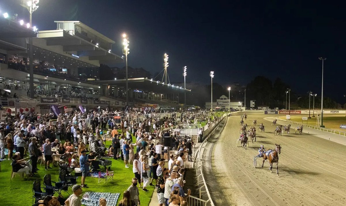 SENWABreakfast's tweet photo. #Tips from @matt_young1991 for @GloucesterPark tonight:

2-7 Shes a Mare (roughie)
3-5 Galvinston John (best)
4-2 Elleofareactor (e/w)

@SEN_Turf @TAB_touch https://t.co/I96FB21EZl