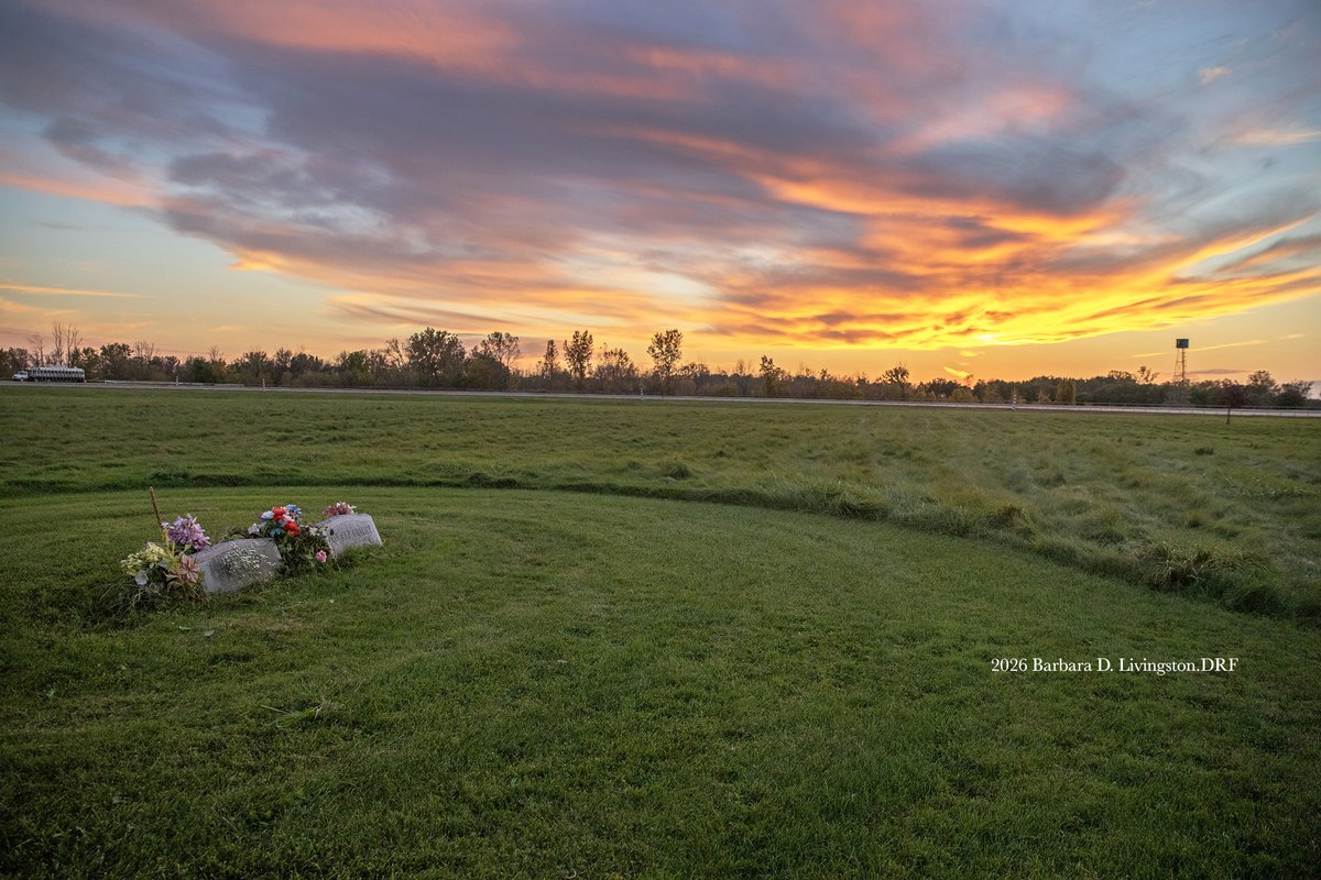 DRFLivingston's tweet photo. I always love visiting Finger Lakes, inc. last 🍁🍂Mon. for the New York Breeders' Futurity card...3 NY-bred stakes.

I always visit the infield to pay respects to FIO RITO (1st NYTB G1W) and '08 Big Apple Triple winner TIN CUP CHALICE.

The spot is always beautifully maintained. https://t.co/blggP1wXQA