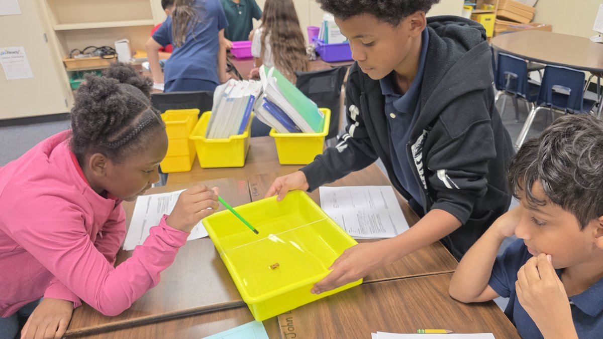 StacieHong's tweet photo. Studying how energy transfers through waves and vibrations! 👋🌊 @AliefScience @PetroskyPirates https://t.co/2xqaHynhc8
