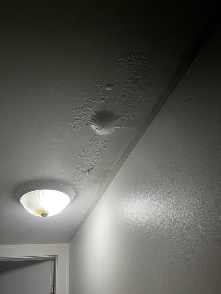 sscumbuggle's tweet photo. the ceiling grew a boob🖤 https://t.co/2XX3fl3dqf
