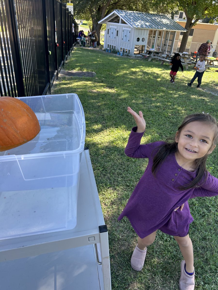 FawkesDen's tweet photo. A perfect day for pumpkins. #risdDreamOn #nleranch #risdprek @MrsCoutant @MrsKellyTo https://t.co/3hoJj5gpHB