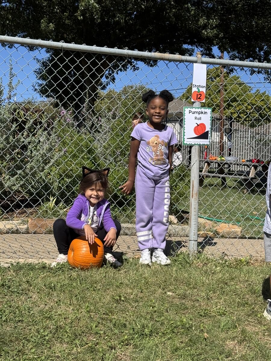 FawkesDen's tweet photo. A perfect day for pumpkins. #risdDreamOn #nleranch #risdprek @MrsCoutant @MrsKellyTo https://t.co/3hoJj5gpHB