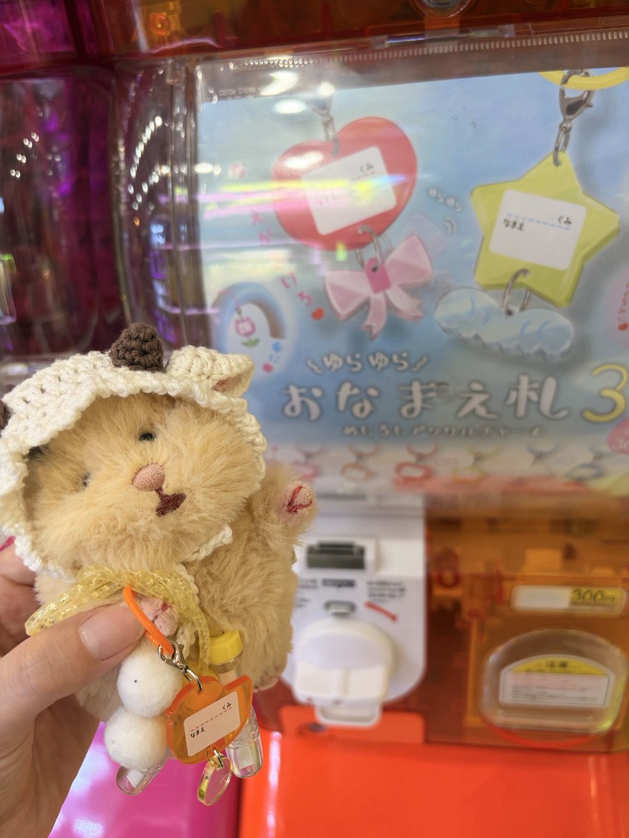 norimimi33's tweet photo. おにぎり組 🍙  のりみみ

 #はむにぎり #はむにぎりのいる暮らし https://t.co/xeMof55JHa