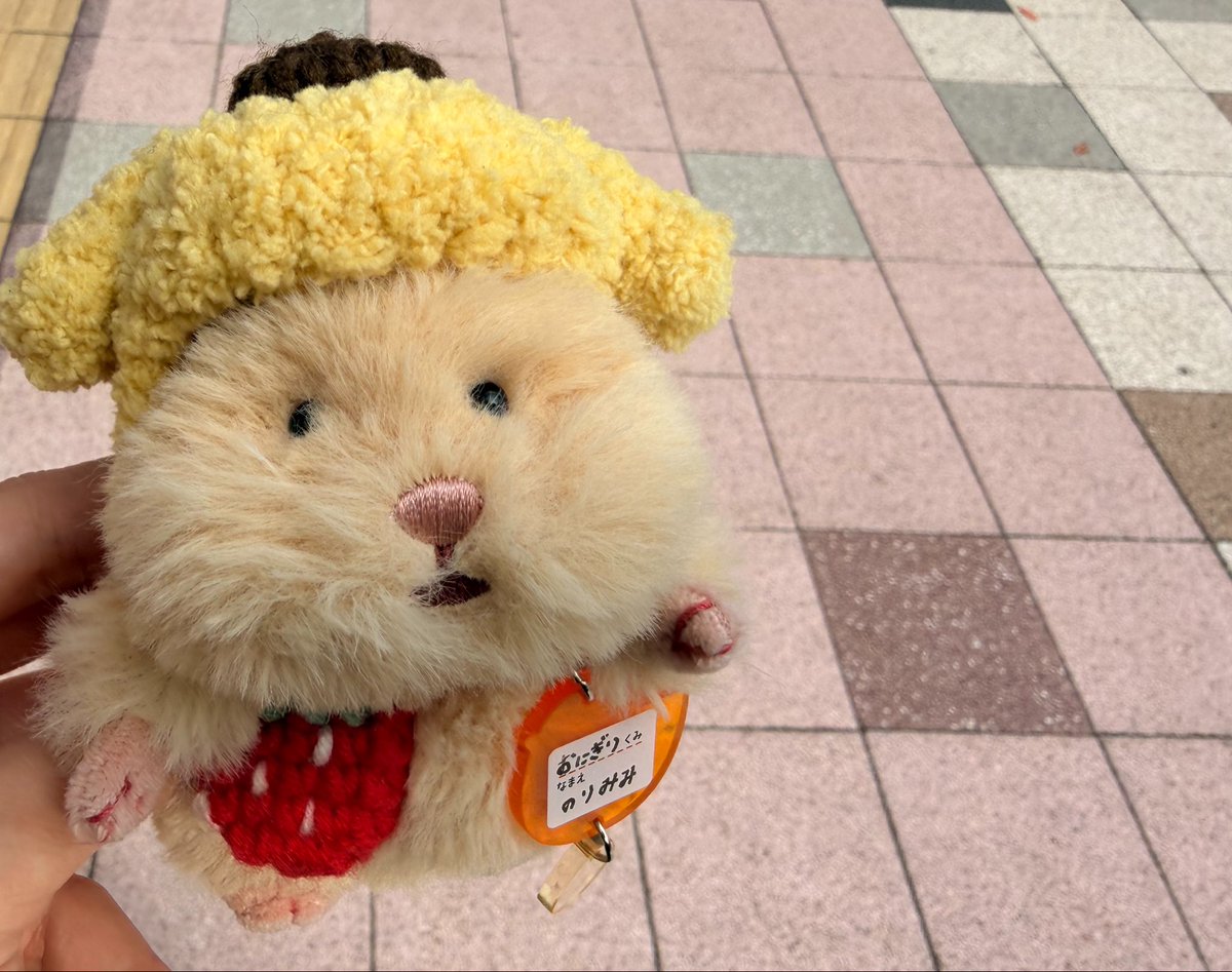 norimimi33's tweet photo. おにぎり組 🍙  のりみみ

 #はむにぎり #はむにぎりのいる暮らし https://t.co/xeMof55JHa