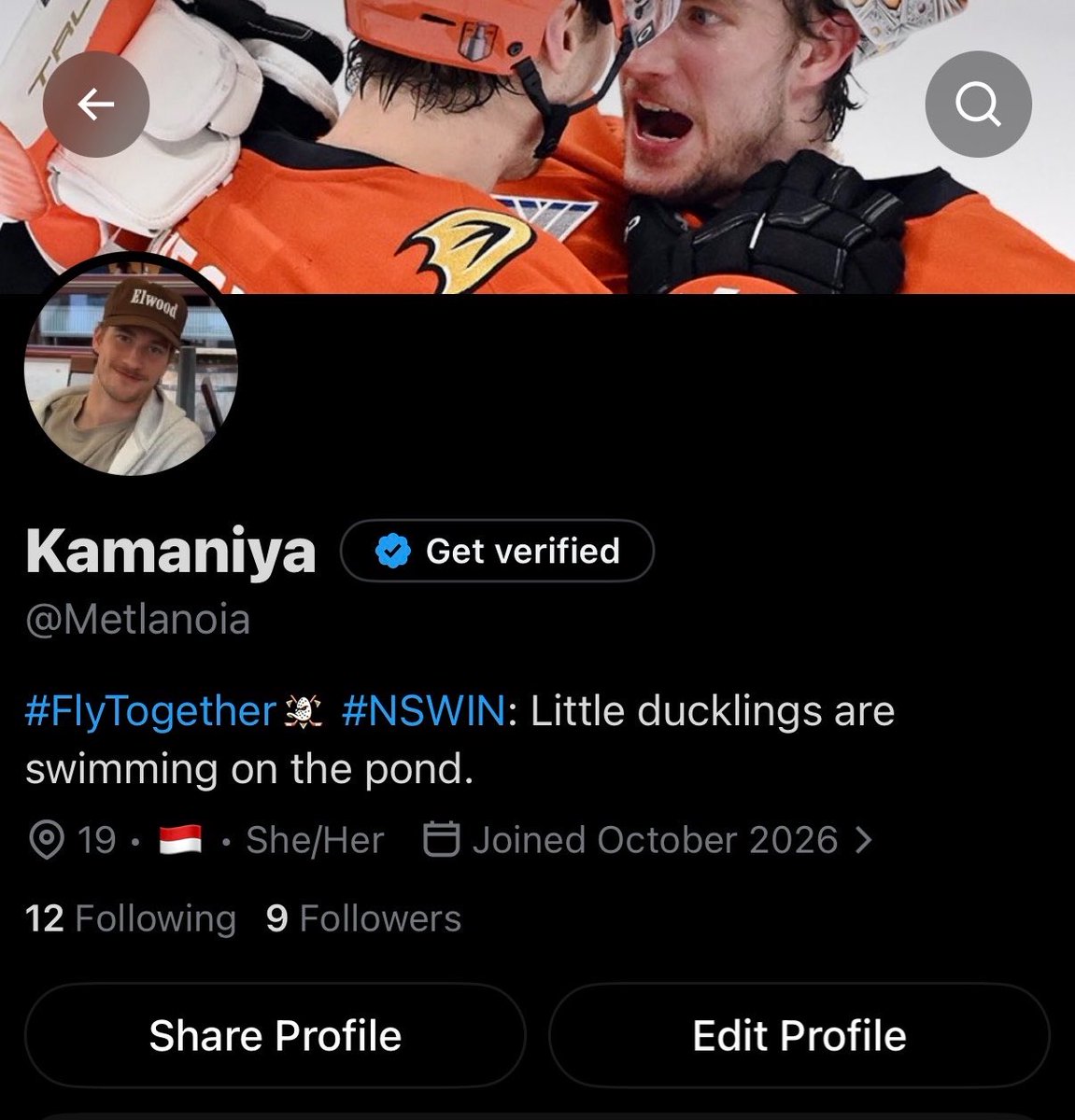 Metlanoia's tweet photo. if you see this do it! 

profile
lockscreen
last song played 
pinterest https://t.co/3cH6PgHp9c