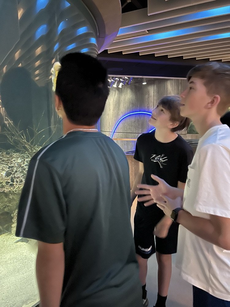 SevernaParkMS's tweet photo. Exploring the Baltimore Aquarium! 🦑 Our 7th grade Explorers got hands-on with a squid dissection and experienced marine science up close. #ParkPride #BelongGrowSucceed https://t.co/o8RMsz4JRZ