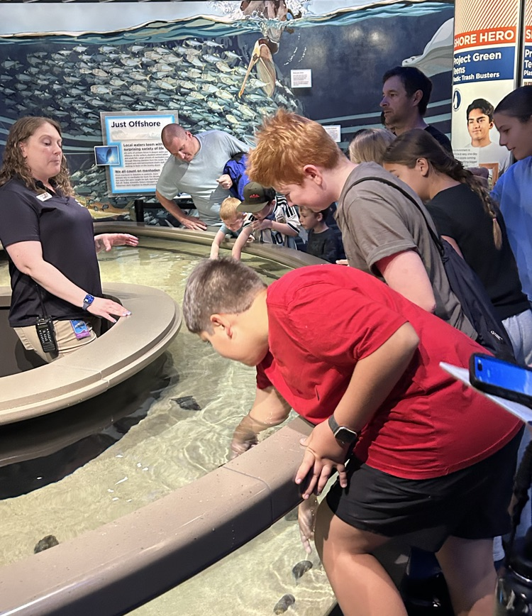 SevernaParkMS's tweet photo. Exploring the Baltimore Aquarium! 🦑 Our 7th grade Explorers got hands-on with a squid dissection and experienced marine science up close. #ParkPride #BelongGrowSucceed https://t.co/o8RMsz4JRZ