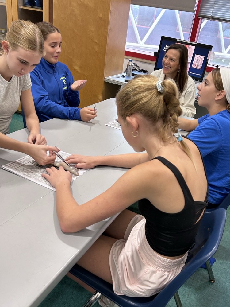 SevernaParkMS's tweet photo. Exploring the Baltimore Aquarium! 🦑 Our 7th grade Explorers got hands-on with a squid dissection and experienced marine science up close. #ParkPride #BelongGrowSucceed https://t.co/o8RMsz4JRZ