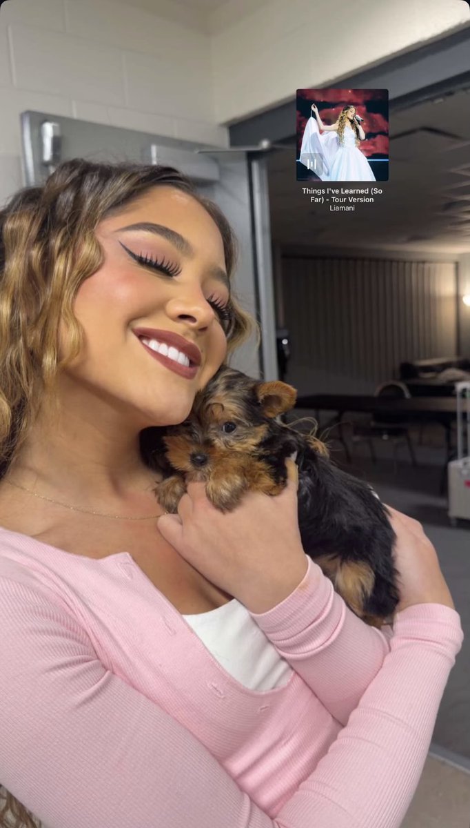 InfoLiamaniBR's tweet photo. 📸| Liamani via storys do Instagram!!!💜💫 https://t.co/sou4UXquFd