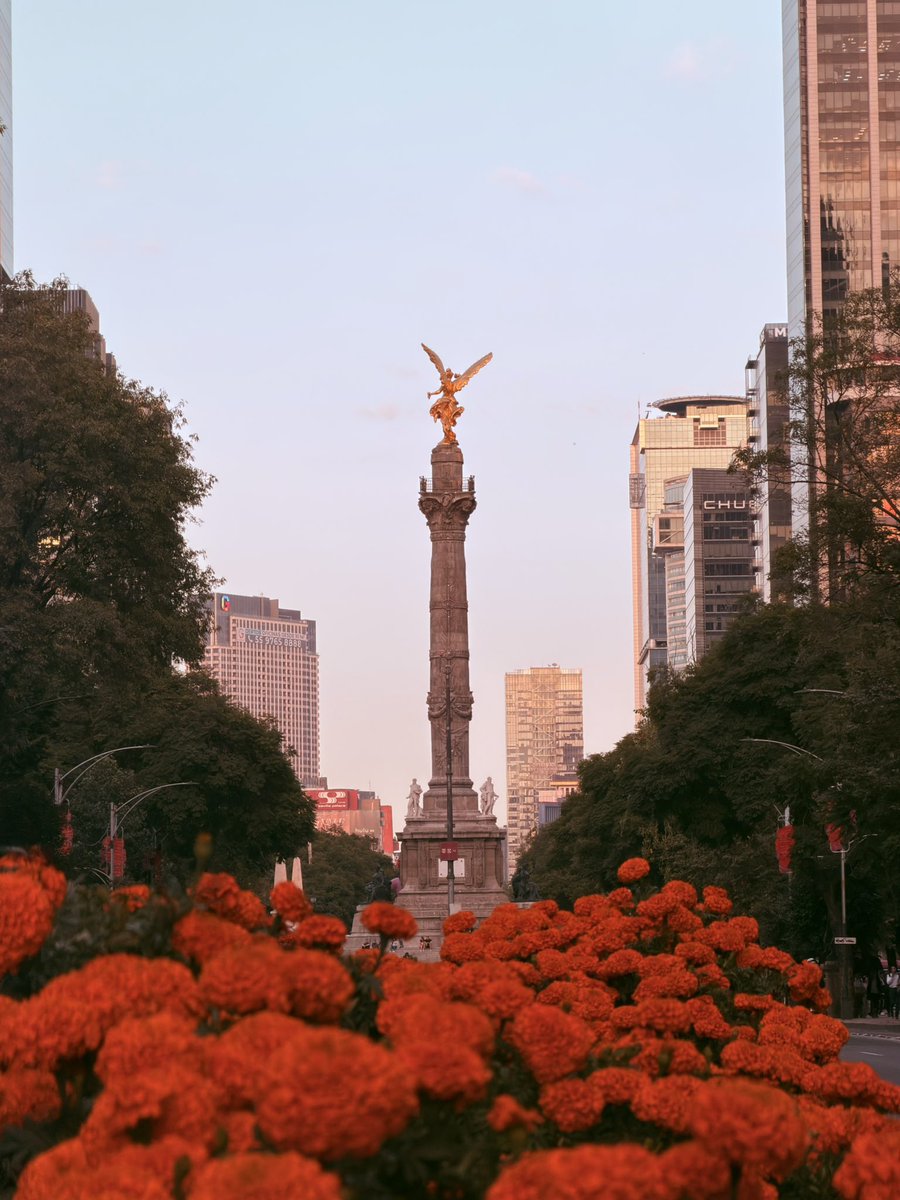 ferlop89's tweet photo. mi dosis anual de CDMX romantizada. https://t.co/webPxTry4l
