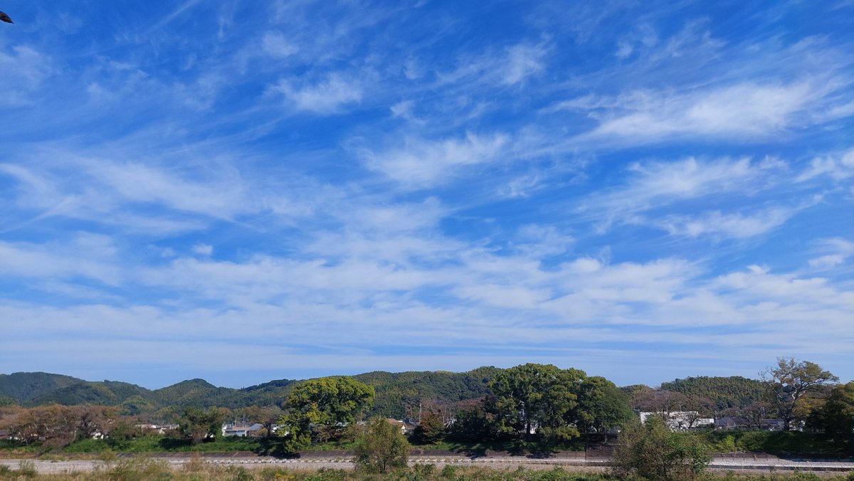 IgnorePerfect's tweet photo. 静岡旅行 https://t.co/5lIDxn5t3W