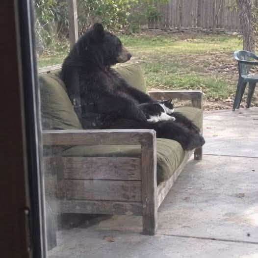 Bear1nCrisis's tweet photo. I hate nostalgia so much because wdym i can't go back https://t.co/ujwafeJp2I