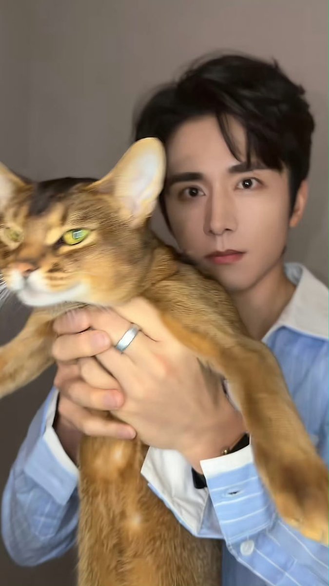 TenWoo13's tweet photo. 久々に見たら成長してた張新成んちの🐈️阿骨打
綺麗な緑の瞳🥰 https://t.co/PSp746sDvX