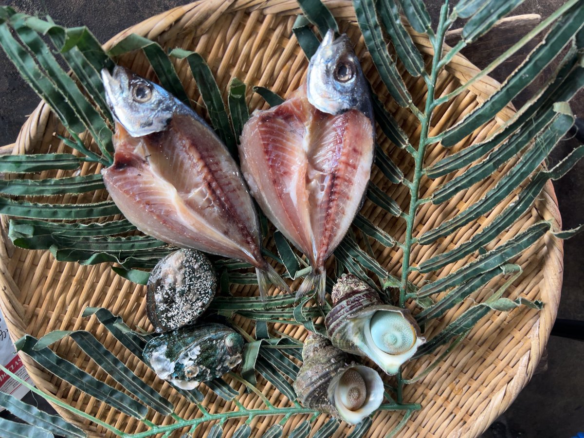 mirai_ed's tweet photo. 朝ごはん！
海女小屋はちまんかまど
サザエ、とこぶし、アジの一夜干し！ https://t.co/1Q6yoI7r73