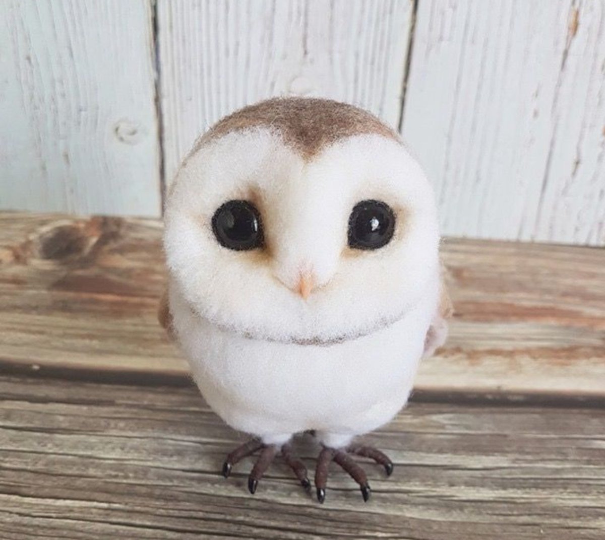 mimyfl's tweet photo. ୨ᰔ୧ - Se eu fosse uma animal seria uma corujinha !<3
E vocês??? https://t.co/7btQrujDYT