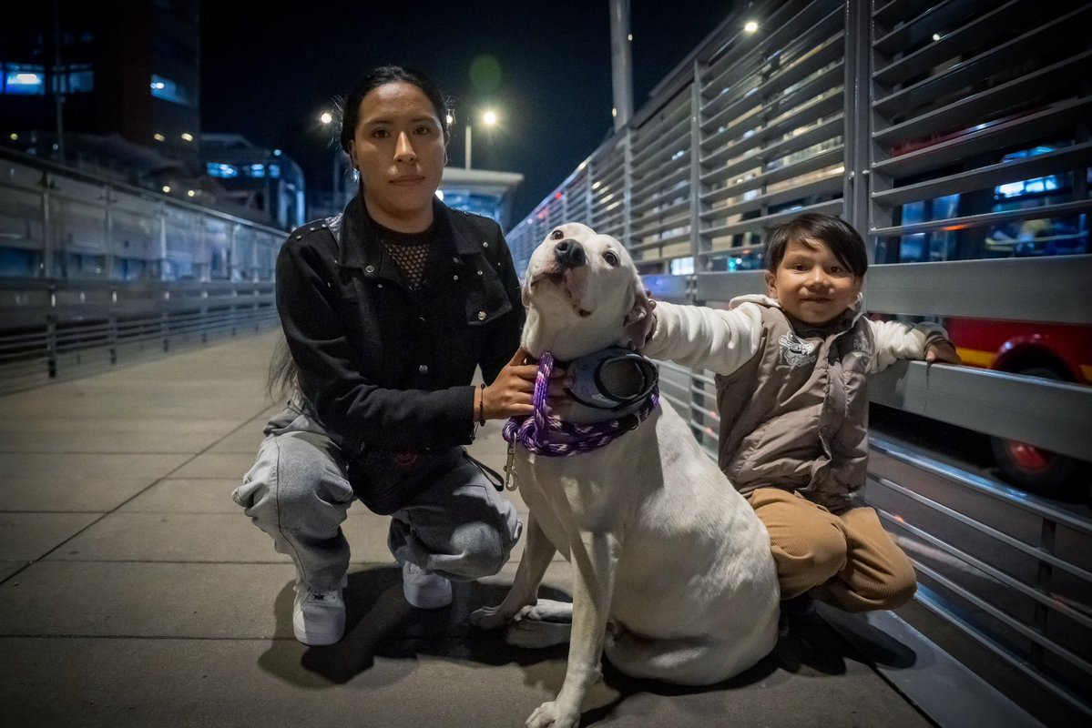 TransMilenio's tweet photo. ¡Un nuevo final feliz en TransMi! 🥹🐕❤️

Nos pone muy felices saber que Mona, animal de compañía extraviada en el Sistema, hoy vuelve casa 😌🚏🏡

Se acaba de reencontrar con su familia en la estación San Victorino 🐶🫶🙋

Luego de haber sido encontrada en el Portal Suba, esta tierna perrita fue resguardada en el Portal Norte - Unicervantes, donde fue cuidada y atendida por nuestro personal de vigilancia y la administradora del portal  🫰🌟🛡️

Allí llegó @AnimalesBOG y así fue posible contactar y localizar a su tenedora responsable, tras escanear el microchip instaurado en su cuerpo 👏😊🙏

¡Tu mejor amigo también es el nuestro! ☺️

#TransMiPet 🐶❤️🚍