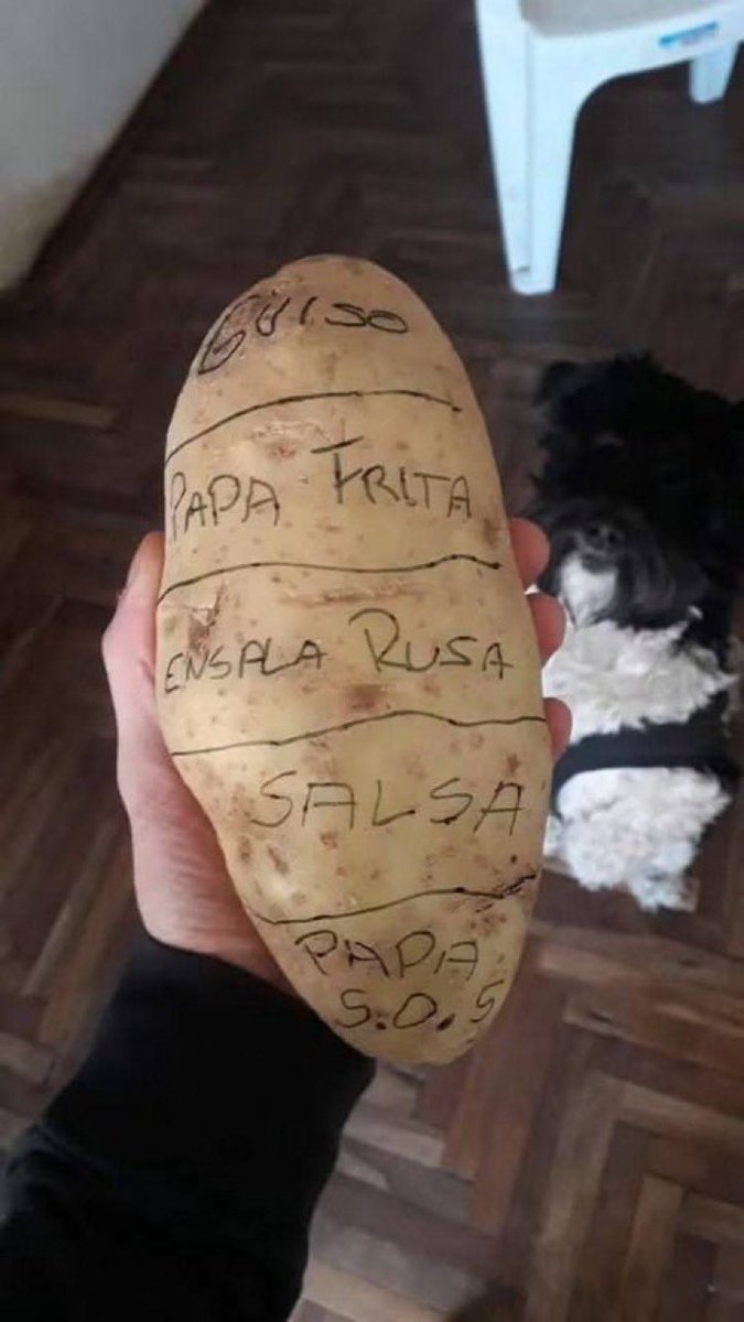 fabipa90's tweet photo. -Si se quedan sin plata el 20, ¿cómo viven 10 días sin comer ni beber?
- https://t.co/Bnj4BjgN7G