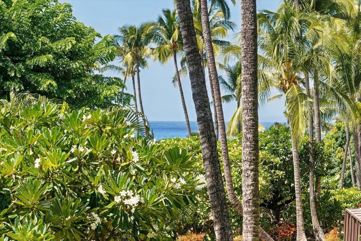 HawaiiLife's tweet photo. Just listed by Karin Carlson, R(B) is 2531 S Kihei Rd D111, in Kihei, Maui, for $599,000.

https://t.co/STdkK5COgc

Updated, hotel-zoned 1-bed, 1-bath vacation rental at Kihei Akahi. 

Tap the link for more details.

#HawaiiLife #Maui https://t.co/ViqGdvrhdG