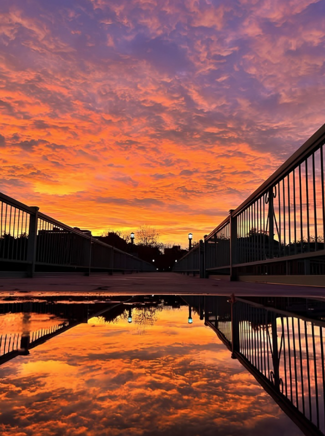uiowa's tweet photo. Status update. https://t.co/3kGqid9WU6