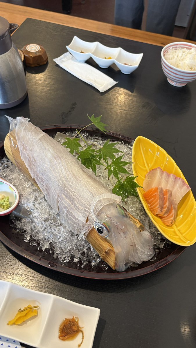 Lx1Hu's tweet photo. イカ1人で全部食べた https://t.co/k3NKw8oLQz